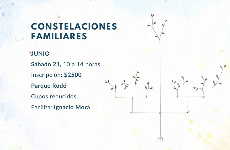 Constelaciones Familiares 21 Junio