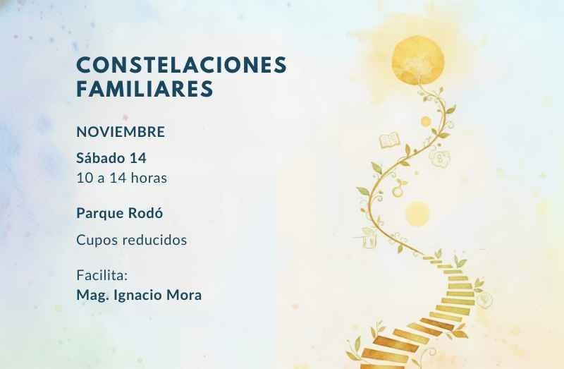 Constelaciones Familiares 14 Noviembre